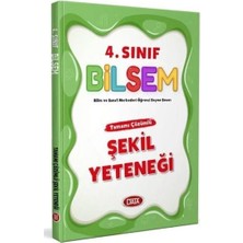 Data Yayınları 4.sınıf Bilsem Şekil Yeteneği