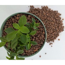 Kil Bilyesi 1 Lt 3-8 mm Orkide Yetiştirme Kil Bilyesi Hidroponik Toprak Torf