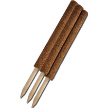 Gardener KKS080 Koko Sarmaşık Çubuğu - 80 cm