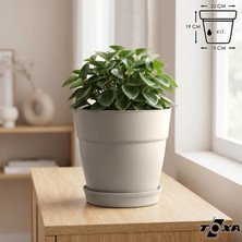 Tabaklı Delikli Plastik Çiçek Saksısı, 20 cm 4 Lt, 1 Adet, Bej