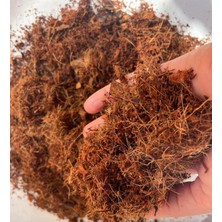 Plot Cocopeat / 5 Lt / 9 Lt/hindistan Cevizi Torfu (9 Lt)