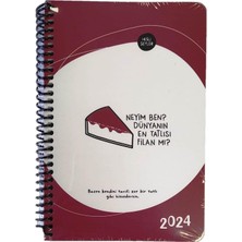 Hisli Şeyler 2024 Haftalık Ajanda, Stickerlı, 13CM x 19,5cm
