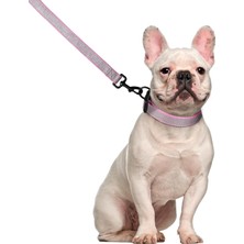 Köpek Koşum Tasması 5ft Tasma Kaka Çanta Tutucu Seti, Reflektörlü Ayarlanabilir Çekmesiz Köpek Yelek Koşum Emniyet Kilidi Kolay Kontrol Kolu, Küçük Or