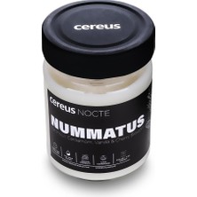 Nocte Nummatus Paçuli & Vanilya Kokulu Soya Mum