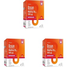 Methyl B12 Dilaltı Sprey 500MCG 5 ml (3 Paketi)
