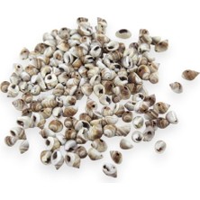 Happy Trend 14 mm Kahverengi Desen Deniz Kabuğu Boncuk (77 Adet)