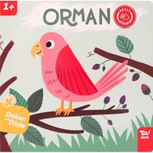 ve Dinle Sesli Kitabım Orman