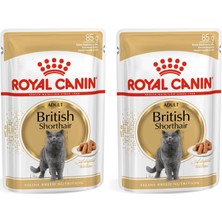 Toptan Budur British Shorthair Konserve 85 G x 12 Adet (2 Paketi)