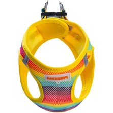 Şanal Air-Mesh Tasarımda Rainbow Renkli Köpek Göğüs Tasması (Xs)