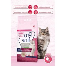 Odea Parfümlü Kedi Kumu 5 Lt, Topaklanan ve Koku Giderici