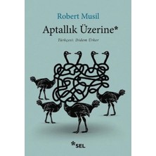 İlkyaz Fashion If Aptallık Üzerine