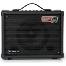 Tr DC30 30 Watt Amfi