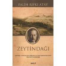 Pozitif Yayınları Zeytindağı - Özgün Metin