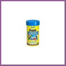 Bezos Guppy Balık Yemi 100 ml Rengaren