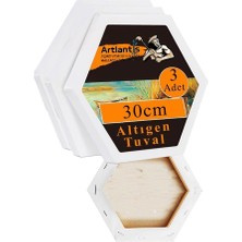 Tr Altıgen Tuval 30 cm 3 Adet Arkadan Zımbalı Astarlı Resim Tuvali Akrilik Boya Yağlı Boya Alt