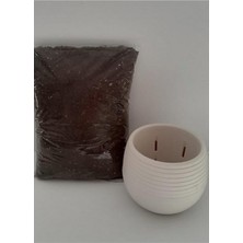 Xml Bayiciniz Tr Kaktüs Saksı 0,55 Lt Alana 2 Lt Kaktüs Toprağı Hediye Sukulent Saksı Plastik Saksı Renkli