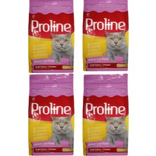 Proline Multi Colour Renkli Taneli Tavuklu Yetişkin Kedi Maması 1200 gr x 4 Adet