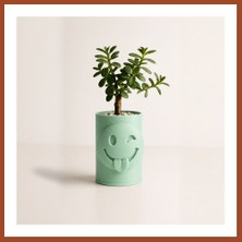 Bezos 3D Baskı Emoji Planter - Göz Kırpan Yüzlü Sukulent Saksısı-Mint Pro