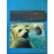 Nzm Store Kutup Ayısı Baskılı 28X40 cm Mouse Pad