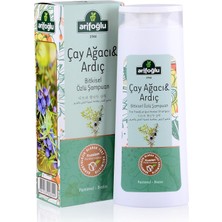 Nzm Store Çay Ağacı ve Ardıç Özlü Bitkisel Şampuan 400ML