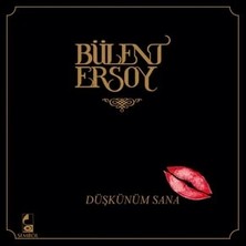 Bülent Ersoy - Düşkünüm Sana / Lp