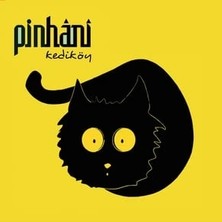 Pinhani - Kediköy /lp