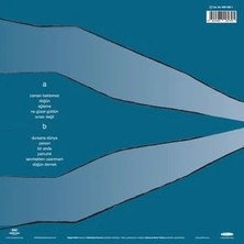 Pinhani - Zaman Beklemez/lp