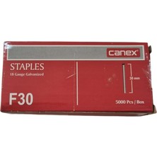 Tr F30 Tabanca Çivisi | 30MM Uzunluk | Dayanıklı ve Uzun Ömürlü