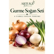 ARTUKA Gurme Soğan Seti | 4 Çeşit Doğal Soğan Tohumu