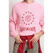 Abluka Online Unisex Boxy Fit Nakışlı Bisiklet Yaka Triko Kazak Pembe