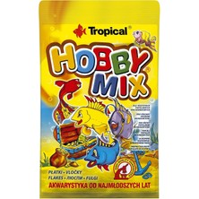 Tr Hobby Mix Küçük Akvaryum Balıkları Için Karışık Pul Yem 12GR