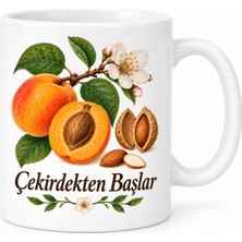 Bezos Çekirdekten Başlar Tasarımlı Porselen Kupa - Model 525