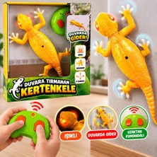 Rs 9998 Duvara Tırmanan Kertenkele Rc Oyuncak Kertenkele