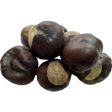 Milas Toptan At Kestanesi Meyvesi Doğal 100 gr Paket