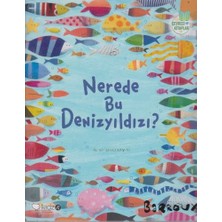 Kidz Redhouse Nerede Bu Denizyıldızı?