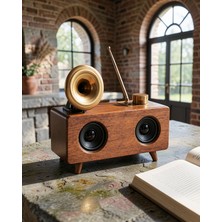 Lims Store Nostaljik Ahşap Radyo Bluetooth ve Sd Kartlı UUCZB6SPEKAERR4-1-1
