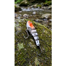 Lion Fishing Turuncu Zebra Vb-01 14G