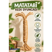 Korpet Matatabi Orjinal Kedi Oyuncağı Doğal Ipli Çiğneme ve Isırma Oyuncağı