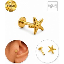 Khi-Zai Titanyum Piercing Deniz Yıldızı Forward Helix Kulak Labret Burun Flat Conch Tragus Piercing