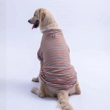 Pawstar 26766 Kiremit Marseille Softline Büyük Irk Köpek Triko Sweatshirt