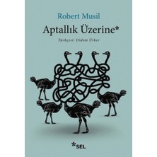 Aptallık Üzerine