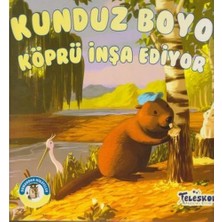 Teleskop Kunduz Boyo Köprü Inşa Ediyor - Ormandan Hikayeler