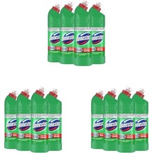 Ceylan Adam Yoğun Kıvamlı Çamaşır Suyu Dağ Esintisi 750 ml X4 (3 Paketi)