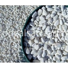 Ceylan Adam Beyaz Dolomit Taş 2 Kg, 2-4 Cm, Dere Taşı, Çakıl Taşı, Saksı, Akvaryum, Teraryum ve Bahçe Taşı