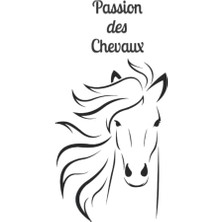 Ceylan Adam Passion Des Chevaux: Carnet Vierge Fantaisie; Ligné, Couverture Cheval Et Intérieur Décoré De 100 Pages Format 15/22 Cm. Idée Cadeau Pour Fan D'équitation Et De Chevaux. (French Edition)