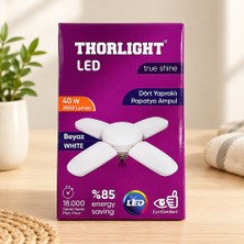 Milas Toptan Papatya 40 W LED Ampul