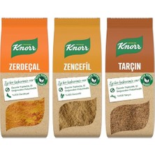 Ceylan Adam Zencefil — Tarçın 40G X1 + 50G X1 + Zerdeçal 60G X1