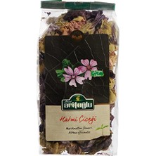 Ceylan Adam Hatmi Çiçeği 40 G