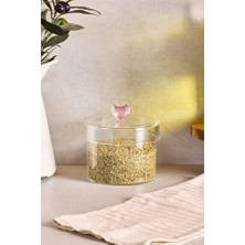 Ceylan Adam 450 ml Borosilikat Cam Kavanoz, 10X8 Cm, Şeffaf, 1302090006