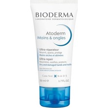 Ceylan Adam El ve Tırnak Kremi, Kuru Cilt Için Onarıcı Nemlendirici, Shea Yağı 50 ml